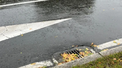 Una de las alcantarillas del entorno de la Alameda en la tarde de este miércoles