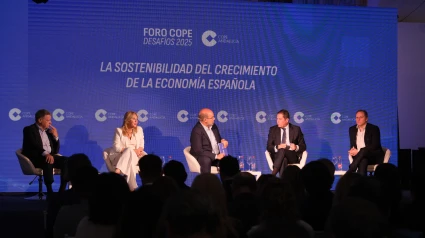 MESA SOBRE LA SOSTENIBILIDAD DEL CRECIMIENTO DE LA ECONOMÍA ESPAÑOLA