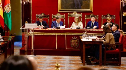 Pleno sobre el informe del Defensor de la Ciudadanía de Granada