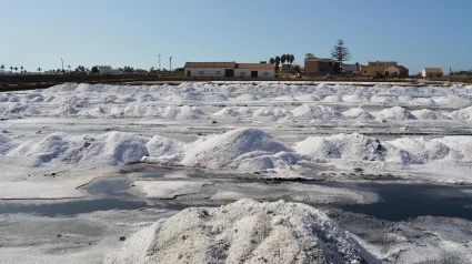 Salinas de Marchamalo junto a La Manga en Cartagena