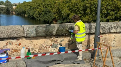 Limpieza del Puente Romano