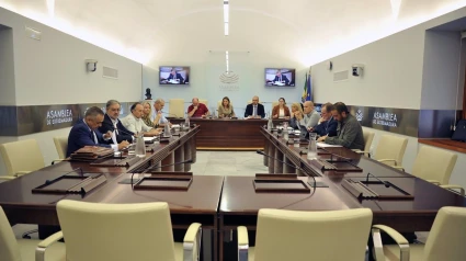 04/10/2024 Reunión de la comisión no permanente de investigación en la Asamblea de Extremadura sobre la situación del proyecto de regadío de Tierra de Barros
POLITICA EXTREMADURA ESPAÑA EUROPA BADAJOZ
ASAMBLEA DE EXTREMADURA