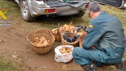 Este mes se han interpuesto 60 denuncias