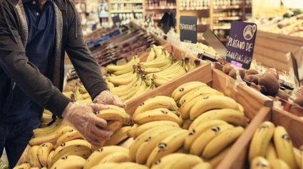 Plátanos de Canarias | ASPROCAN