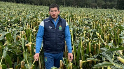 José Manuel Liste Liñares, ganadero de Trazo (A Coruña) en una de las plantaciones arrasadas por el Kirk