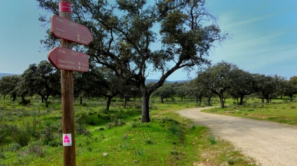 Camino Natural del Tajo (Serrejón)