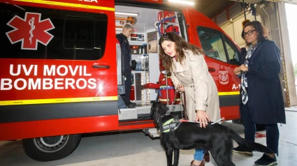 Los perros de asistencia médica ya pueden acceder a las ambulancia del 080