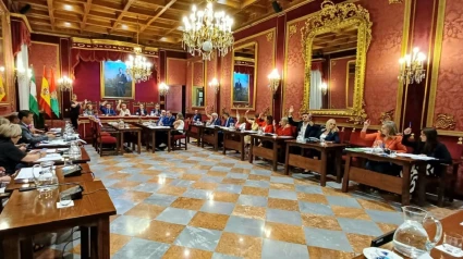 Pleno del Ayuntamiento de Granada