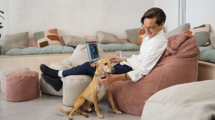 Vista lateral de cuerpo entero de un trabajador masculino navegando en una netbook moderna mientras acaricia a un lindo perro durante el trabajo en una oficina moderna y luminosa