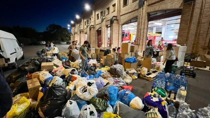 Recogida en Toledo