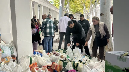 campaña de recogida de alimentos Albacete