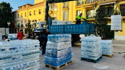 Parte una segunda dotación de bomberos de Motril hacia Alfafar, en Valencia