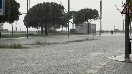 Las intensas lluvias han hecho crecer los ríos metropolitanos de forma alarmante