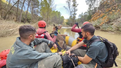 Guardia Civil trabajando en Letur