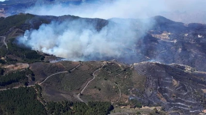 Incendio en Artenara, Gran Canaria
- Europa Press - Archivo