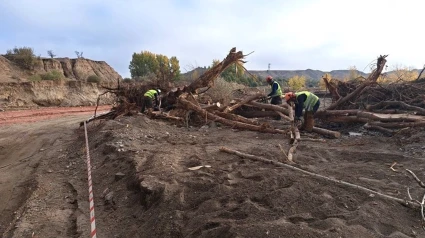 Trabajos en la Rambla de Fiñana, en el término municipal de Guadix