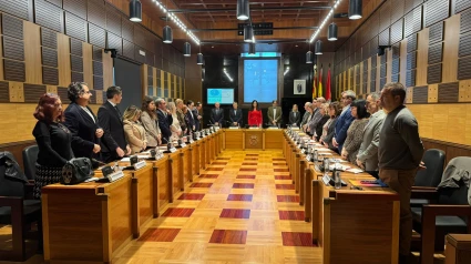 Pleno extraordinario Ayuntamiento de Huesca y minuto de silencio DANA