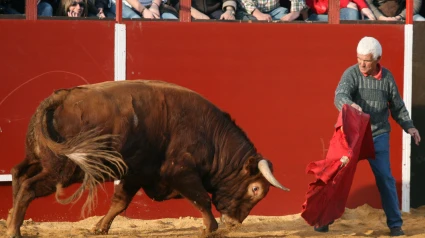 Conrado durante una capea en los Carnavales de Ciudad Rodrigo (Salamanca)