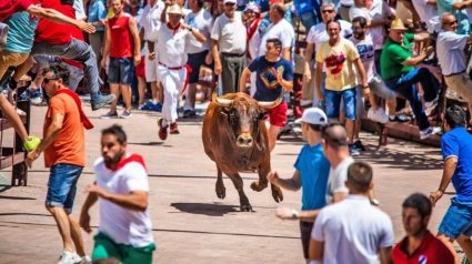 Encierro de San Juan en Coria