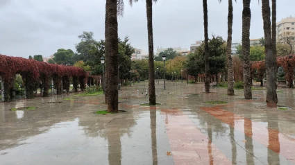 Llega la lluvia a Jaén