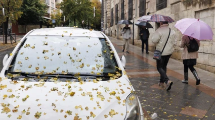 Suspendidas las clases este jueves en centros educativos de Cádiz, Granada, Huelva, Málaga y Sevilla