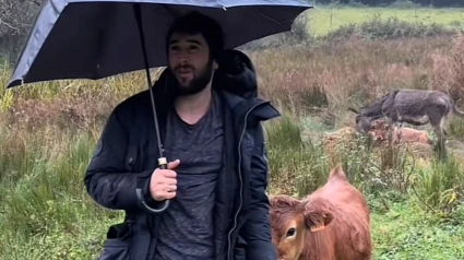 El joven ganadero con una vaca