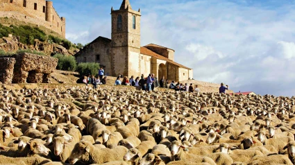 Trashumancia