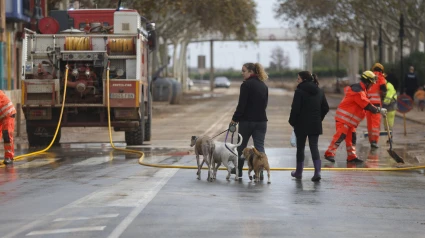 Labores de achique este jueves en la ciudad de Valencia