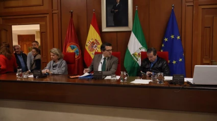 Pleno del Ayuntamiento de Córdoba antes de la suspensión.