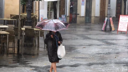 14/11/2024 Una mujer camina con un paraguas para protegerse de la lluvia en Jerez de la Frontera.
POLITICA 
AYUNTAMIENTO DE JEREZ