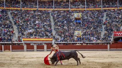 Imagen de la Corrida de la Hispanidad celebrada el 12 de octubre en Las Ventas