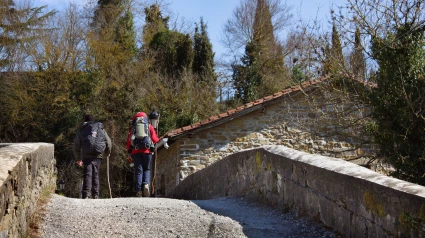 Camino de Santiago a su paso por Navarra