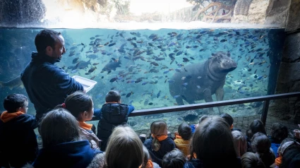 Expedición África - Escuela de vacaciones BIOPARC Valencia - curso especialistas en hipopotamos