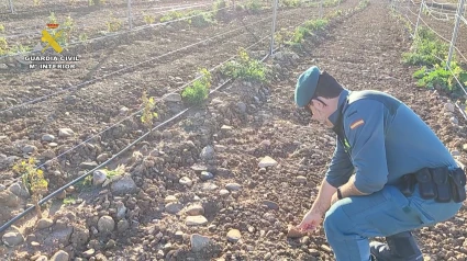 Investigado un vecino de Aldeanueva de Ebro por causar graves daños en el yacimiento arqueológico 'La Torrecilla'