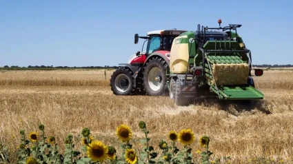 Un tractor durante la cosecha de cereales