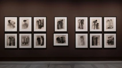 Fotografías de la exposición de Irving Penn