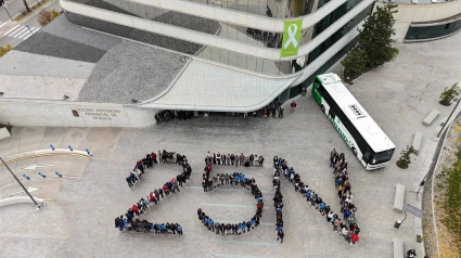 Mosaico humano con motivo del 25N en la explanada de acceso de la Diputación de Granada
