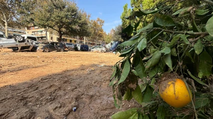 Instantánea del caos en las zonas afectadas por la DANA