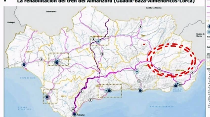 Asociaciones piden a la Junta que inicie la reapertura de la línea férrea Guadix-Baza-Almanzora-Lorca