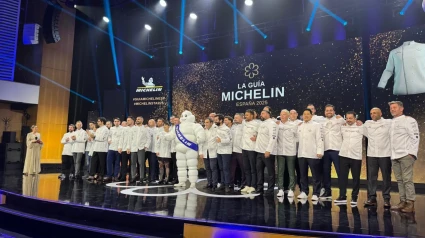 Guía Michelin 25