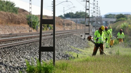 Trabajos de desbroce junto a las vías