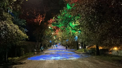 Iluminación navideña en La Alameda de Santiago de Compostela