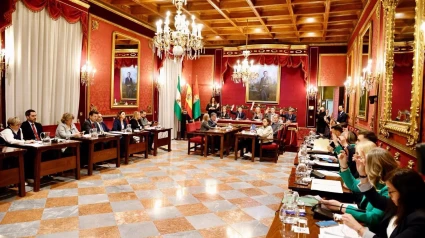 Pleno del Ayuntamiento de Granada