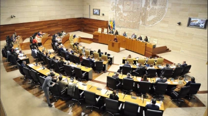 La Asamblea de Extremadura debate las dos enmiendas a la totalidad de los Presupuestos para 2025
El proyecto de Presupuestos de la Comunidad Autónoma de Extremadura (PGEx) para 2025 continúa su tramitación en la Asamblea de Extremadura después de que este viernes hayan sido rechazadas las enmiendas a la totalidad presentadas por PSOE y Unidas por Extremadura.

POLITICA ESPAÑA EUROPA EXTREMADURA
ASAMBLEA DE EXTREMADURA