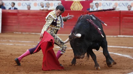 Juan Ortega, con el toro de su confirmación de alternativa en La México