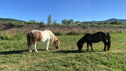 Frodo y Sam regresarán la próxima primavera a la Ciudadela de Jaca