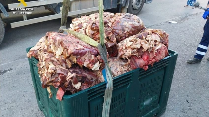 Algunos de los alimentos en mal estado que han sido localizados por la Guardia Civil.