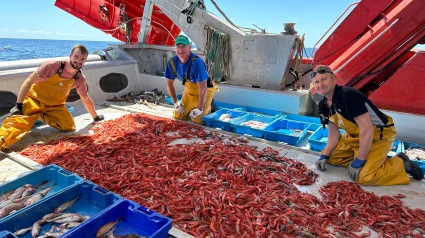 Pescadores en alta mar