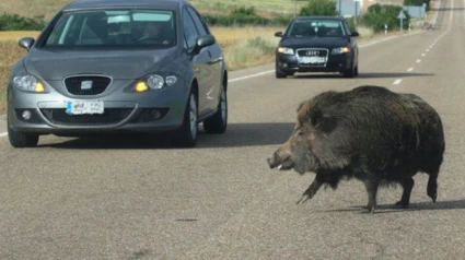 Peligro en las carreteras riberas