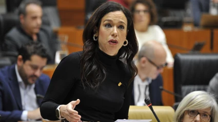 La consejera de Salud y Políticas Sociales, Sara García Espada, en el pleno de la Asamblea